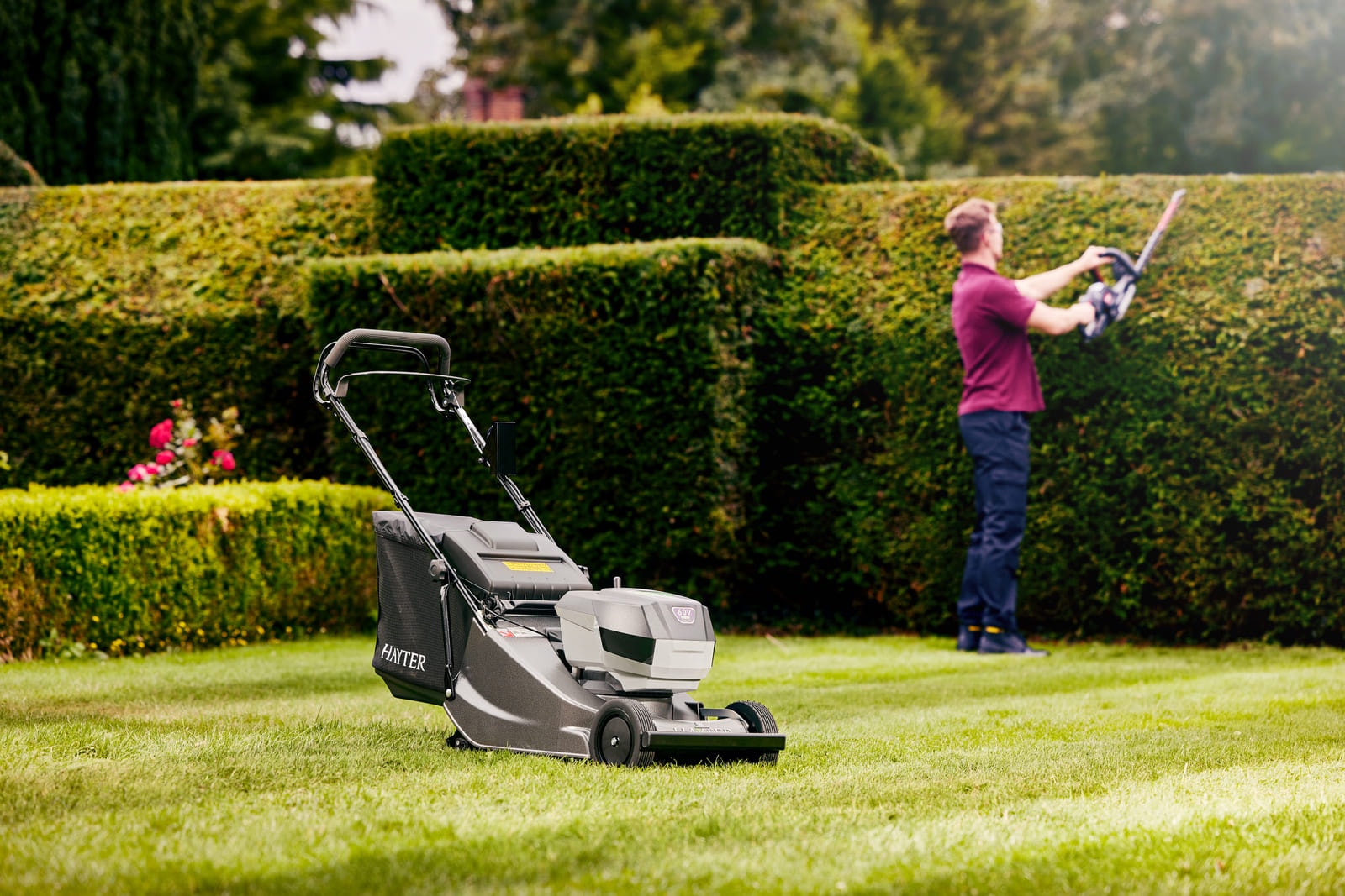 Hayter Harrier 41 Pro 60V Battery Mower (Tool Only) image