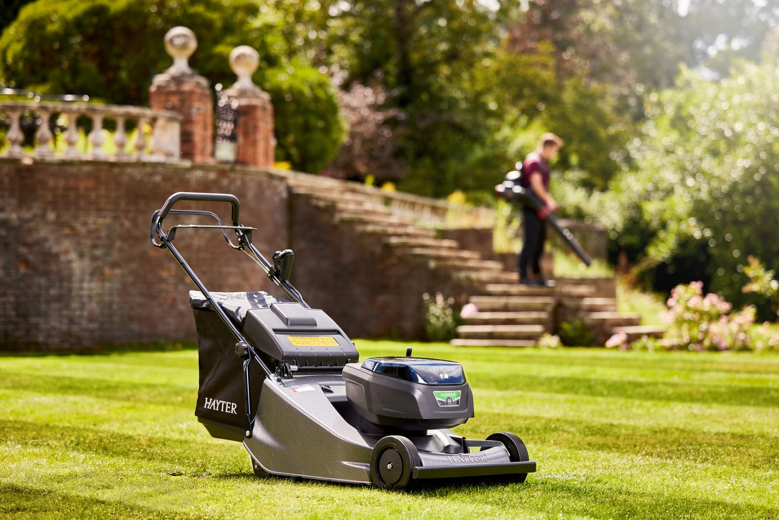 Hayter Harrier 56 Pro 60V Battery Mower (Tool Only) image